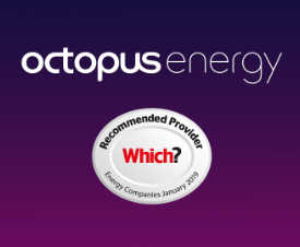 octopus energy logo